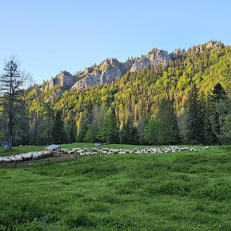 Gosciniec Kuznice Закопане Екстер'єр фото